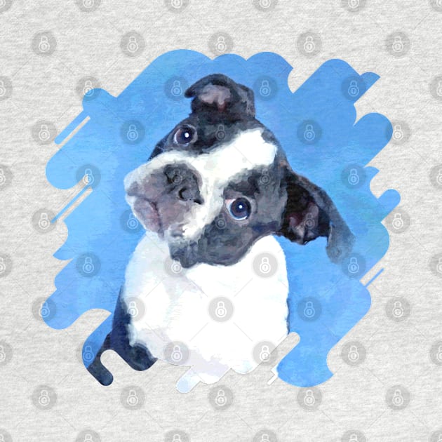 Cute Boston Terrier Puppy by Nartissima